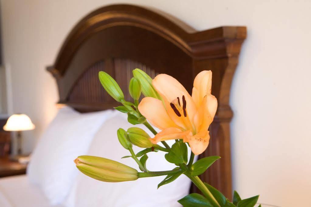 Adriatica Aparthotel